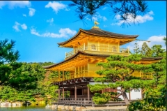 一般社団法人 京都微生物研究所