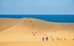 医療法人 育成会 高島病院 労働衛生センター